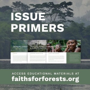 DIGITAL CAMPAIGN DESIGN